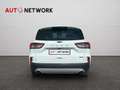 Ford Kuga 2.5 Plug In Hybrid 225 CV CVT 2WD Titanium Busines Bianco - thumbnail 6