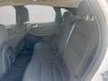 Ford Kuga 2.5 Plug In Hybrid 225 CV CVT 2WD Titanium Busines Bianco - thumbnail 10