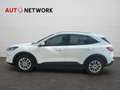 Ford Kuga 2.5 Plug In Hybrid 225 CV CVT 2WD Titanium Busines Bianco - thumbnail 7