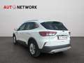 Ford Kuga 2.5 Plug In Hybrid 225 CV CVT 2WD Titanium Busines Bianco - thumbnail 4