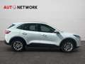 Ford Kuga 2.5 Plug In Hybrid 225 CV CVT 2WD Titanium Busines Bianco - thumbnail 8