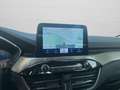 Ford Kuga 2.5 Plug In Hybrid 225 CV CVT 2WD Titanium Busines Bianco - thumbnail 12