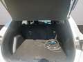 Ford Kuga 2.5 Plug In Hybrid 225 CV CVT 2WD Titanium Busines Bianco - thumbnail 14