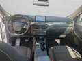 Ford Kuga 2.5 Plug In Hybrid 225 CV CVT 2WD Titanium Busines Bianco - thumbnail 11