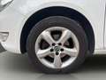 Skoda Roomster Family 1,2 Blanc - thumbnail 13