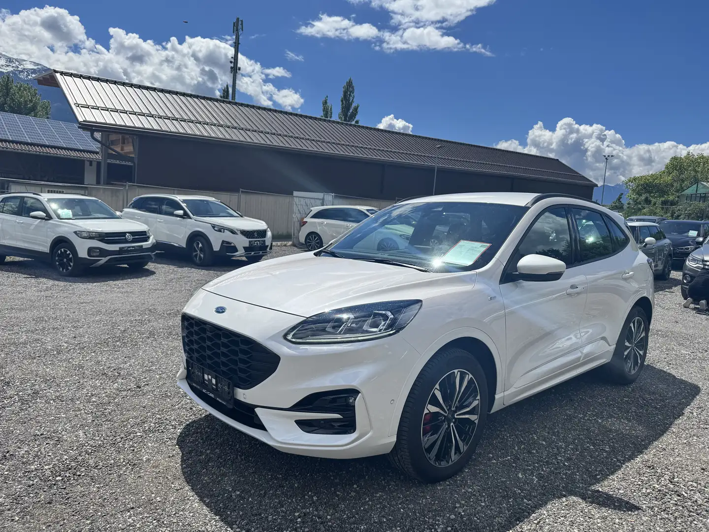 Ford Kuga Hybrid ST-Line Blanc - 2