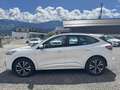Ford Kuga Hybrid ST-Line Blanc - thumbnail 7