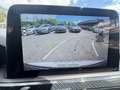 Ford Kuga Hybrid ST-Line Blanc - thumbnail 14