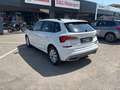 Skoda Kamiq 1.0 TSI 110 CV DSG Ambition Bianco - thumbnail 5