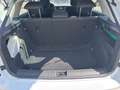 Skoda Kamiq 1.0 TSI 110 CV DSG Ambition Bianco - thumbnail 10
