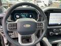 Ford F 150 F-150 Limited Launch Edt. Allrad+AHK+360° Schwarz - thumbnail 14