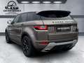 Land Rover Range Rover Evoque SE Dynamic Braun - thumbnail 3