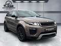 Land Rover Range Rover Evoque SE Dynamic Braun - thumbnail 7