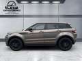 Land Rover Range Rover Evoque SE Dynamic Braun - thumbnail 2