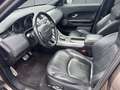 Land Rover Range Rover Evoque SE Dynamic Braun - thumbnail 8