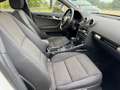 Audi A3 SB Ambiente 1,6 TDI DPF Weiß - thumbnail 18