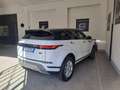 Land Rover Range Rover Evoque Range Rover Evoque 2.0D I4 163 CV AWD Auto SE Bianco - thumbnail 5