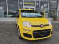 Fiat New Panda PANDINA HYBRID KM0 NO OBBLIGO FINANZIARIO Giallo - thumbnail 2