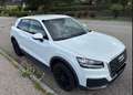 Audi Q2 Q2 1,0 TFSI - Pickerl neu am 25.9.2025 ohne - Weiß - thumbnail 1