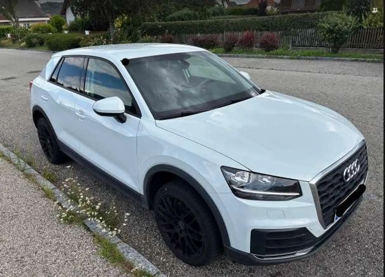 Audi Q2 Q2 1,0 TFSI - Pickerl neu am 25.9.2025 ohne - Weiß - 1