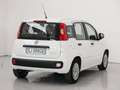 Fiat Panda 1.0 FireFly S&S Hybrid - thumbnail 2