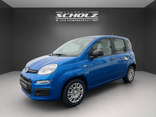 Fiat Pandina
