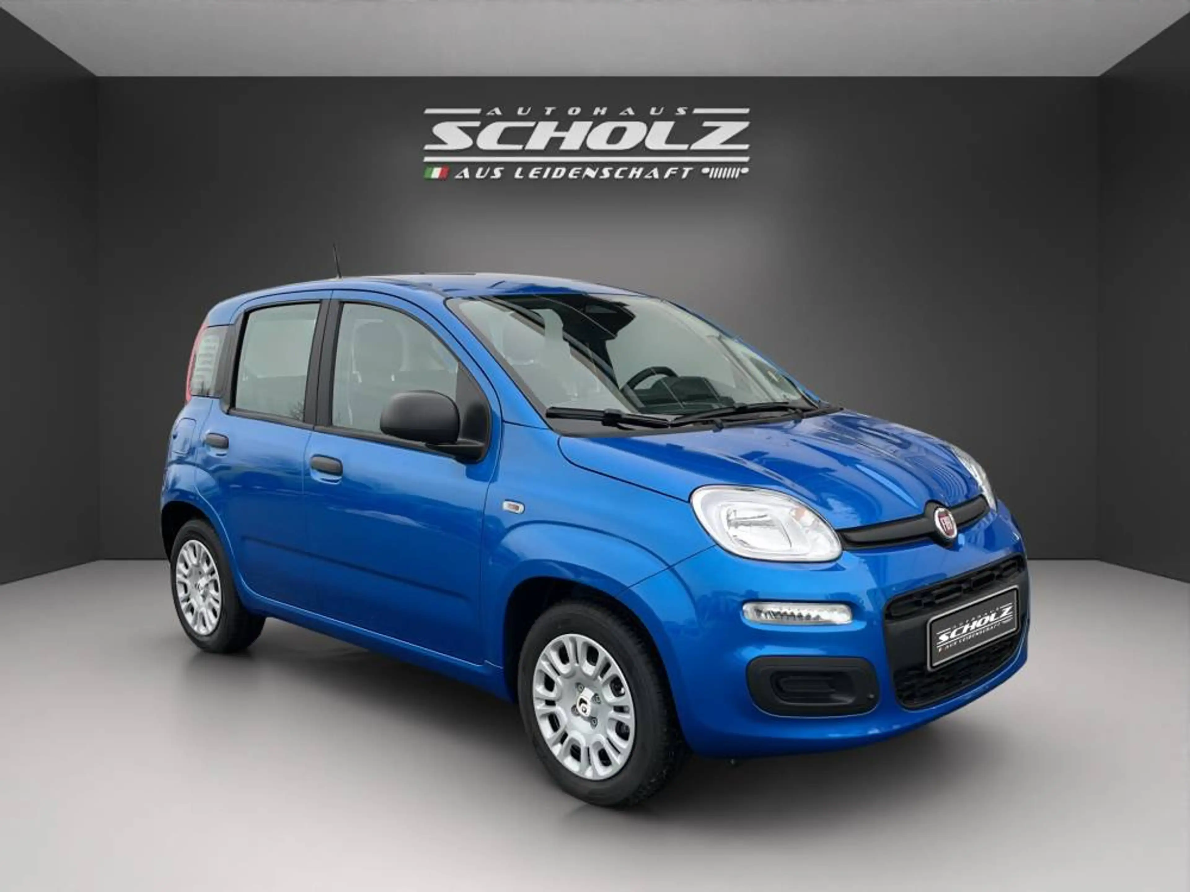 Fiat Pandina Panda MY25 ICON Hybrid 1.0 GSE 51kw 70PS — photo 3