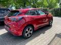 Ford Puma 1.0EcoB.Hybrid''ST-LINE''LED-SW,360°,ACC Rot - thumbnail 3