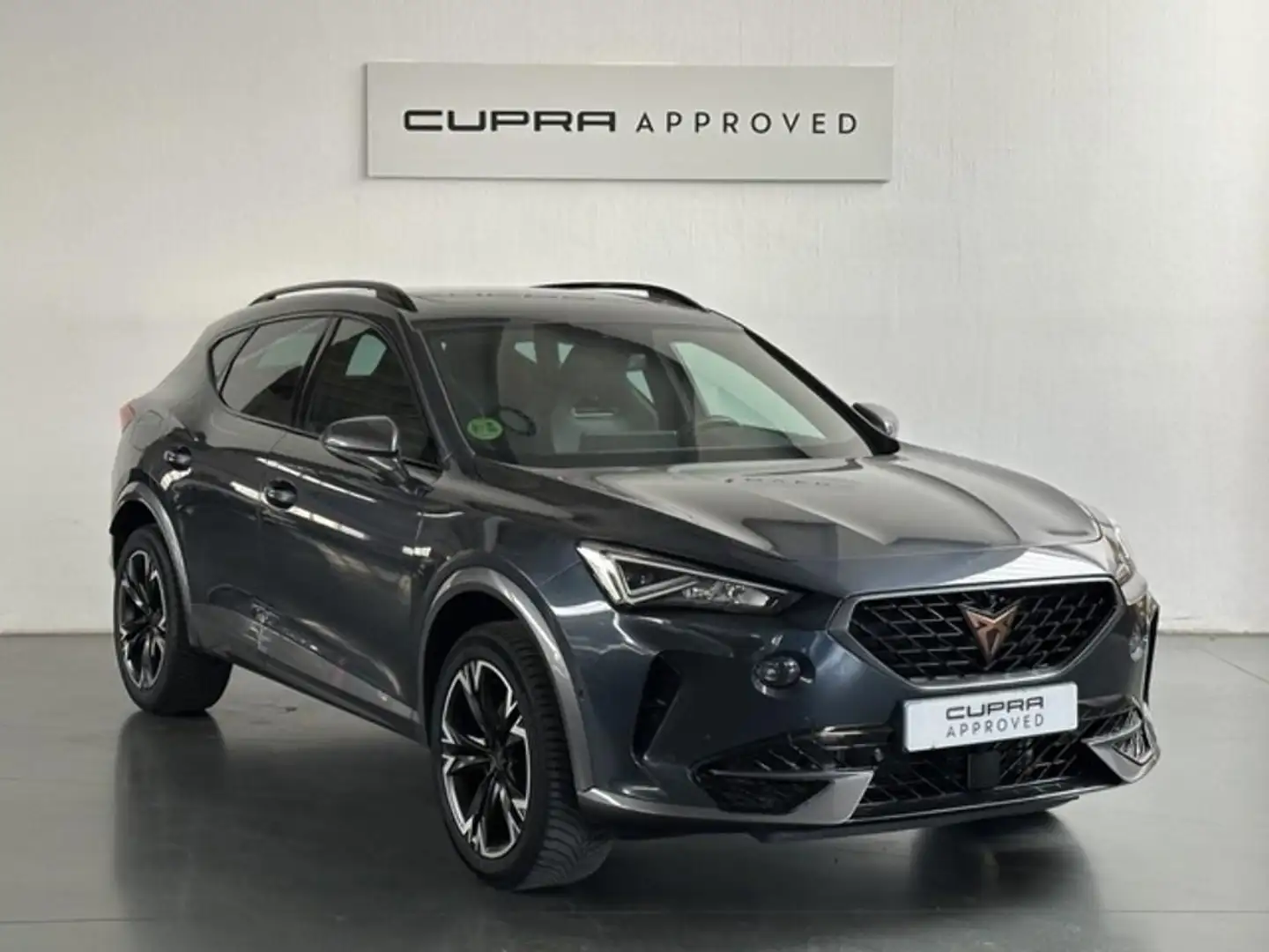 CUPRA Formentor 2.0 TDI 150 DSG 4Drive Grigio - 1