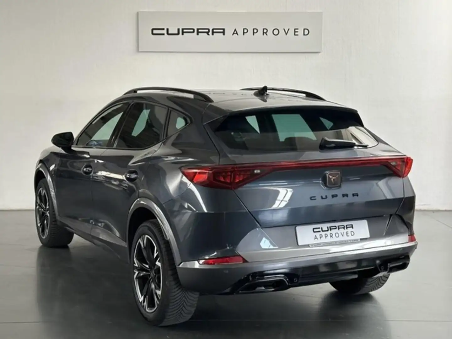 CUPRA Formentor 2.0 TDI 150 DSG 4Drive Grigio - 2