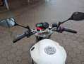 Yamaha XJ 6 Reifen+ Insp. neu Alb - thumbnail 11