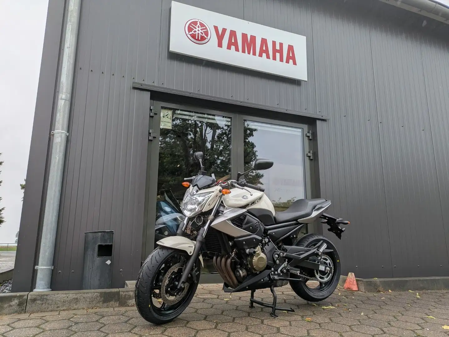 Yamaha XJ 6 Reifen+ Insp. neu Alb - 1