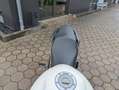 Yamaha XJ 6 Reifen+ Insp. neu Alb - thumbnail 12