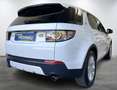 Land Rover Discovery Sport AWD 7-Sitzer Pano AHK Kamera Totwinkel Tempomat Blanc - thumbnail 17
