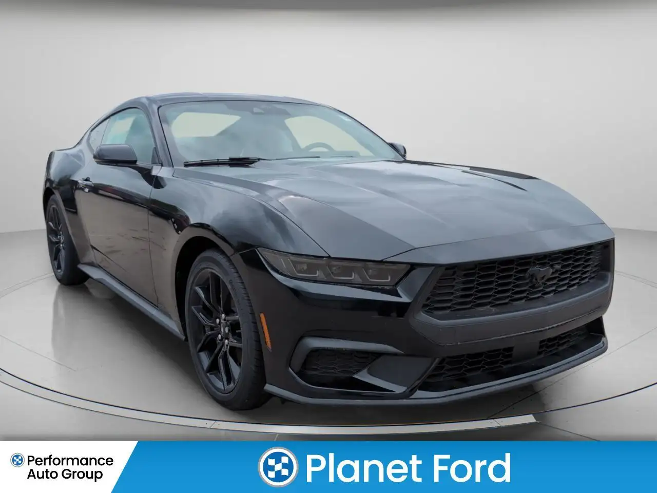 Ford Mustang photo Ford Mustang