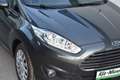 Ford Fiesta 1.25 Trend / Pickerl & Service & Reifen Neu / Grau - thumbnail 11