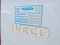 Iveco Daily 3.0 179cv 50 frio Blanc - thumbnail 26