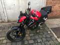 Honda CB 500 FA HORNET Rood - thumbnail 6