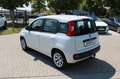 Fiat Panda Lounge*AZV* KLIMA Wit - thumbnail 8