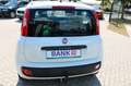 Fiat Panda Lounge*AZV* KLIMA Wit - thumbnail 10