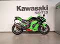 Kawasaki Grün - thumbnail 2