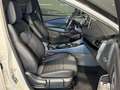 Nissan Qashqai MHEV 158 CV Xtronic Tekna TETTO PANORAMICO Bianco - thumbnail 12