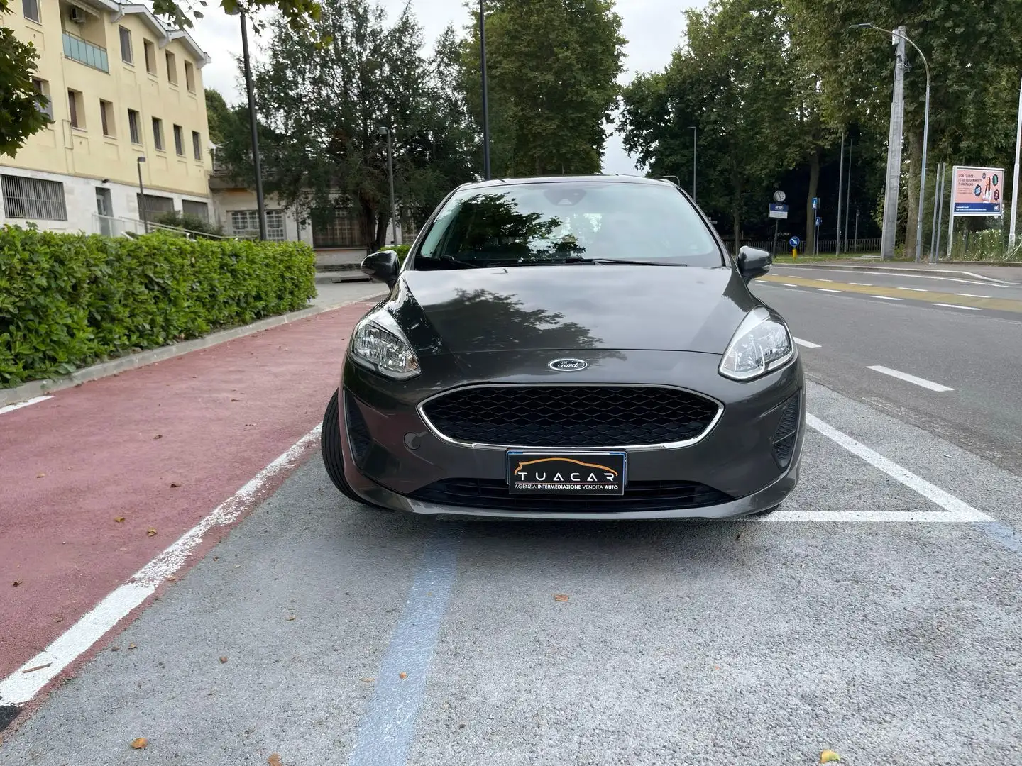 Ford Fiesta Titanium 1.1 Grigio - 2