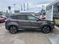 Ford Kuga 1.5 tdci Business 120cv - thumbnail 8