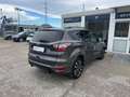 Ford Kuga 1.5 tdci Business 120cv - thumbnail 4