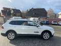 Volkswagen Tiguan Allspace 1.5TSi DSG Life 7-Sitzer AHK R-Kamera 18Zoll AC... Weiß - thumbnail 3