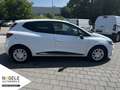 Renault Clio Clio IV 0.9 TCe Collection|Klima+PDC+Bluetooth Blanc - thumbnail 6