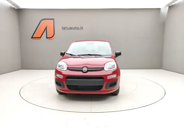 Fiat Panda view 2