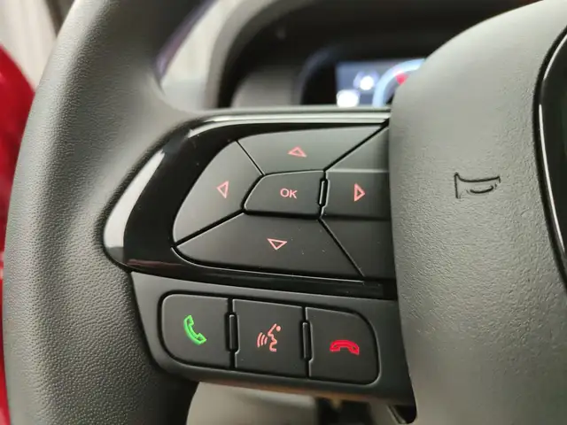 Fiat Panda view 12