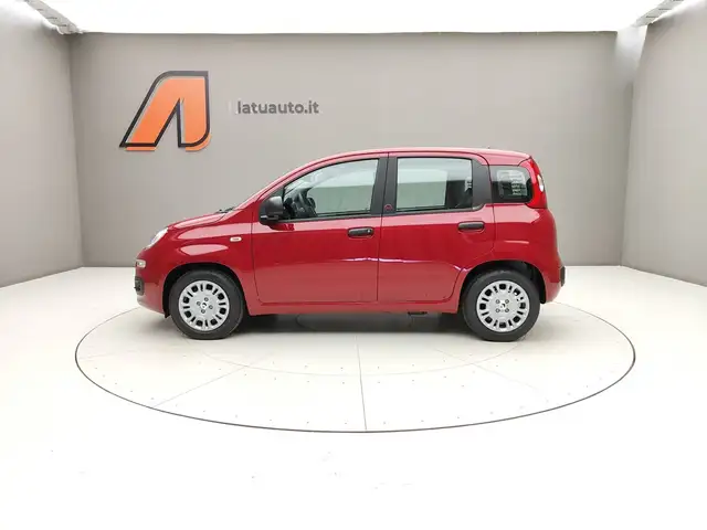 Fiat Panda view 4